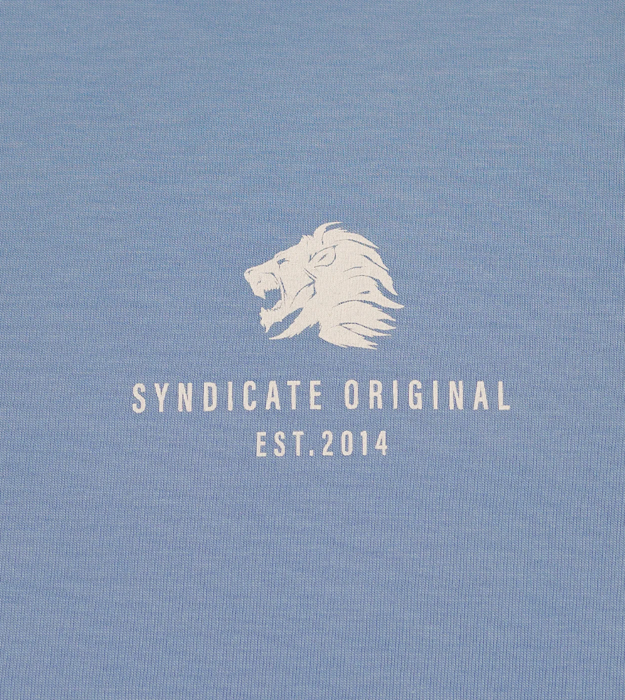 LTS 2.0 Arctic Blue - Image 3
